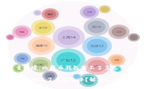 经历重重困境：比特币钱包用不了了怎么办？

比特币钱包用不了了怎么办？解决方案与常见问题
