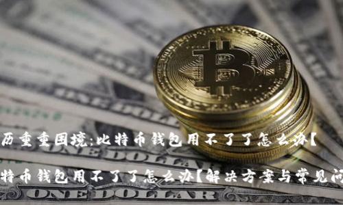 经历重重困境：比特币钱包用不了了怎么办？

比特币钱包用不了了怎么办？解决方案与常见问题