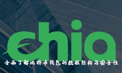 全面了解比特币钱包的数据结构与安全性