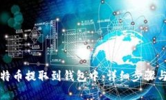 如何将比特币提取到钱包