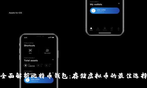 全面解析比特币钱包：存储虚拟币的最佳选择