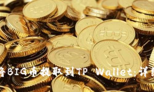 如何将BIG币提取到TP Wallet：详细指南