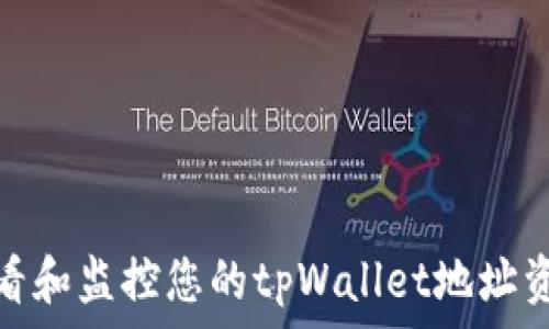   
如何查看和监控您的tpWallet地址资产状况