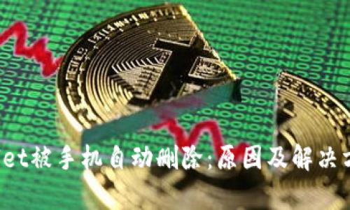  tpWallet被手机自动删除：原因及解决方案详解