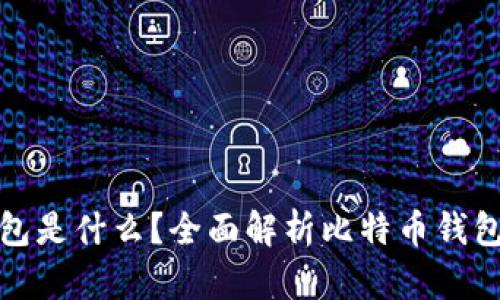 比特币交易钱包是什么？全面解析比特币钱包的功能与选择