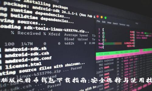 电脑版比特币钱包下载指南：安全选择与使用技巧