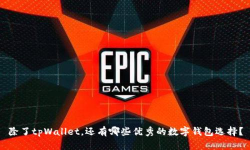 除了tpWallet，还有哪些优秀的数字钱包选择？