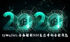 tpWallet：全面解析BSC生态中