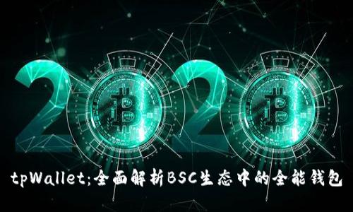 tpWallet：全面解析BSC生态中的全能钱包