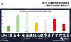 tpWallet募集币：将区块链与