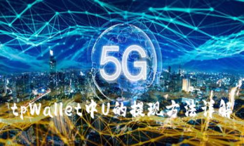 tpWallet中U的提现方法详解