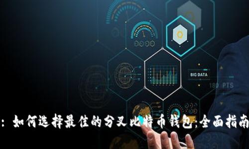 : 如何选择最佳的分叉比特币钱包：全面指南