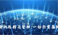 TP钱包名称的选择与管理：
