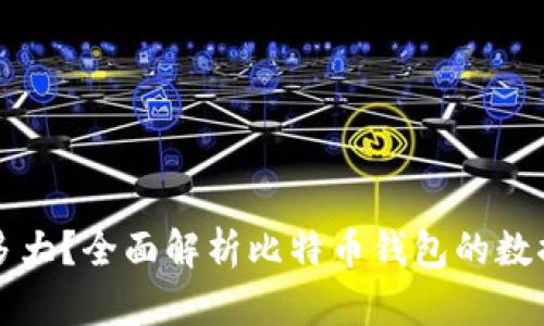 比特币钱包数据多大？全面解析比特币钱包的数据大小及影响因素