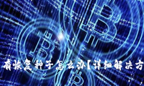 比特币钱包没有恢复种子怎么办？详细解决方案与操作指南