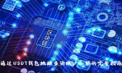通过USDT钱包地址查询账户余额的完整指南
