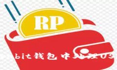 : 如何在Ownbit钱包中处理USDT缺失问题