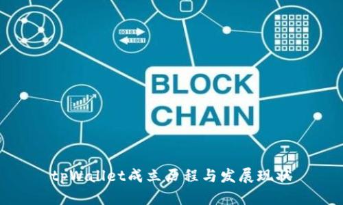 tpWallet成立历程与发展现状
