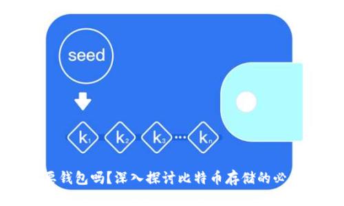 比特币一定要钱包吗?深入探讨比特币存储的必要性与安全性