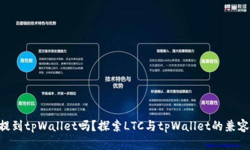 LTC可以提到tpWallet吗?探索LTC与tpWallet的兼容性与应用
