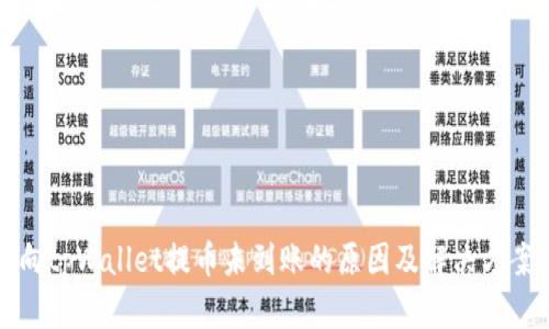 向tpWallet提币未到账的原因及解决方案