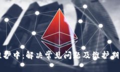 tpWallet维护中：解决常见问题及维护期