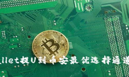 tpWallet提U到币安最优选择通道详解