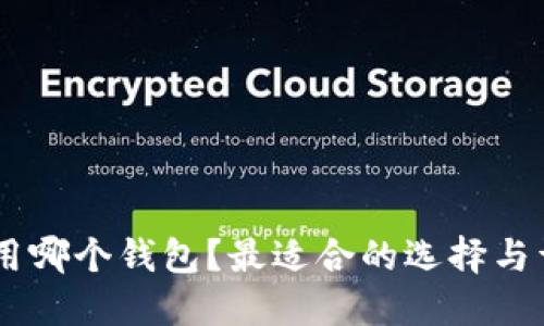 SHIB币用哪个钱包？最适合的选择与详细指南