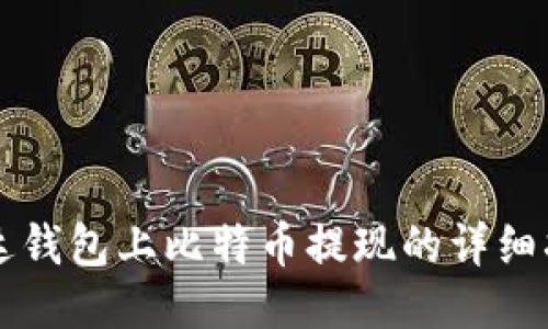 雷达钱包上比特币提现的详细指南
