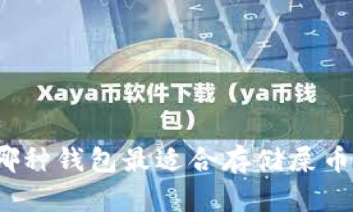 哪种钱包最适合存储屎币?
