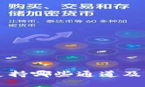 tpWallet支持哪些通道及其使用指南