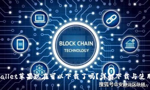tpWallet苹果现在可以下载了吗?详解下载与使用指南