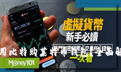 如何选择和使用比特购莱特币钱包?全面解析与使用指南