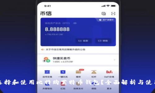 如何选择和使用比特购莱特币钱包?全面解析与使用指南