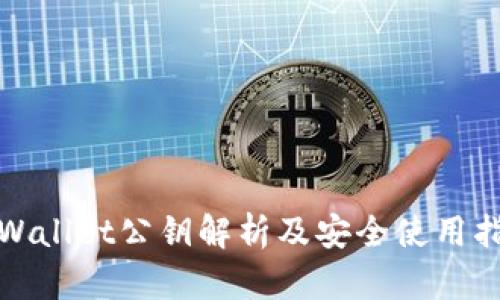 tpWallet公钥解析及安全使用指南