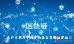 比特币钱包不同步的原因及解决方法