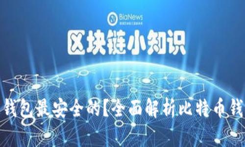 哪种比特币钱包最安全的?全面解析比特币钱包的安全性