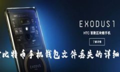 应对比特币手机钱包文件丢失的详细指