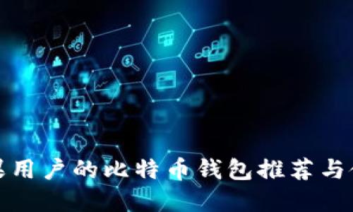 适合苹果用户的比特币钱包推荐与使用技巧