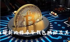 全面解析比特币子钱包地址及其应用