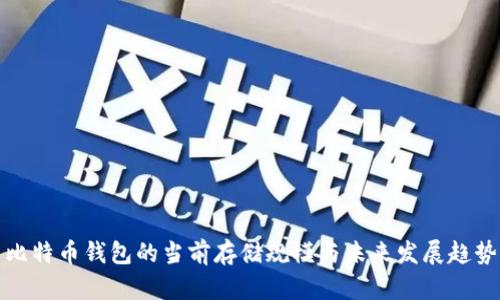 比特币钱包的当前存储规模与未来发展趋势