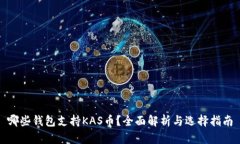 哪些钱包支持KAS币？全面解析与选择指