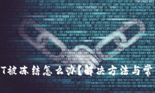 TP钱包USDT被冻结怎么办？解决方法与常见问题解析