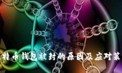 比特币钱包被封的原因及应对策略