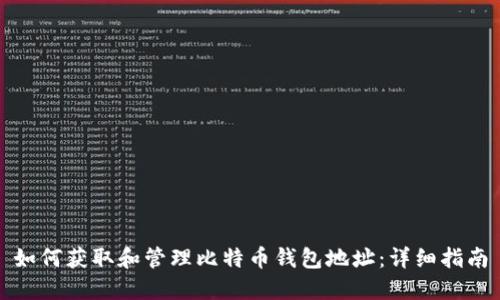如何获取和管理比特币钱包地址:详细指南