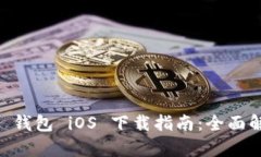 Token Pocket 钱包 iOS 下载指南：全面解析