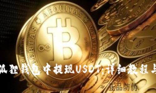 如何在小狐狸钱包中提现USDT:详细教程与注意事项