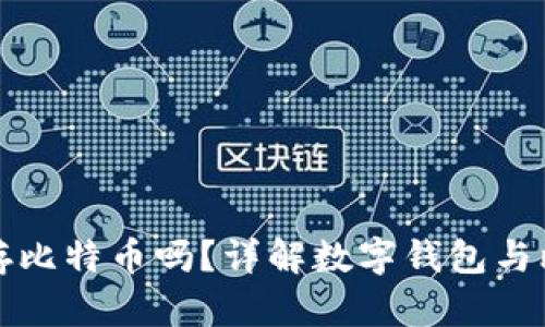数字钱包能存比特币吗?详解数字钱包与比特币的关系
