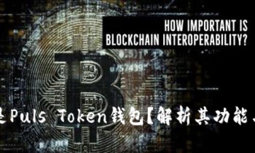 什么是Puls Token钱包?解析其功能与应用