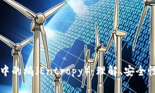 比特币钱包中的熵(Entropy):理解、安全性与使用指南